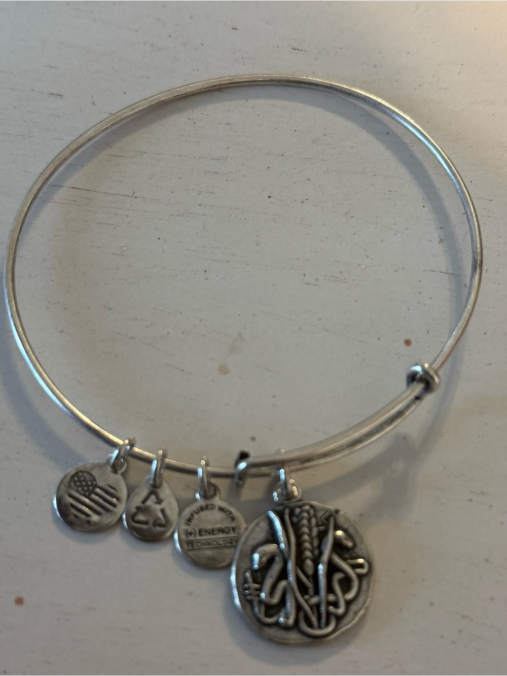 Alex and Ani Silver Charm Bangle with Braided Medallion